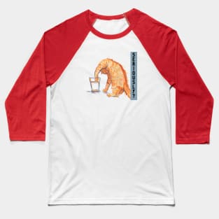 SERIOUSLY? Baseball T-Shirt